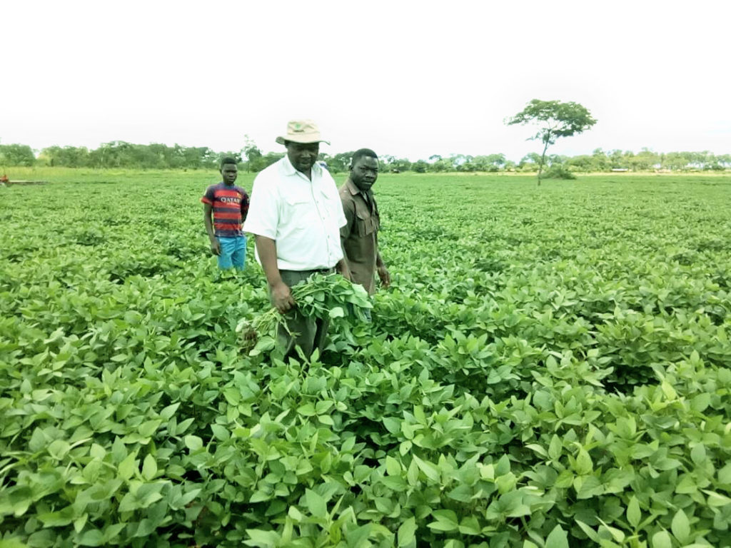 Seed Farm ShareAfrica Zambia
